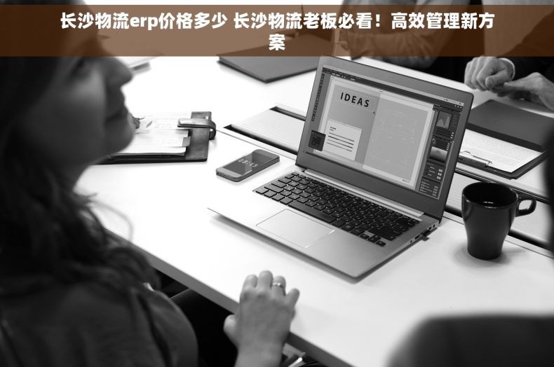 长沙物流erp价格多少 长沙物流老板必看！高效管理新方案