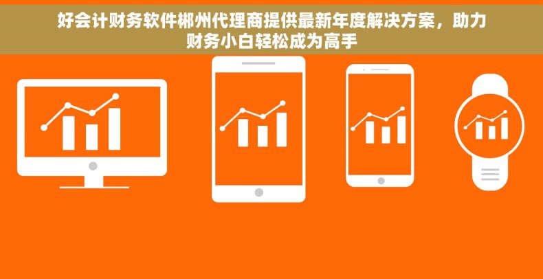 好会计财务软件郴州代理商提供最新年度解决方案，助力财务小白轻松成为高手