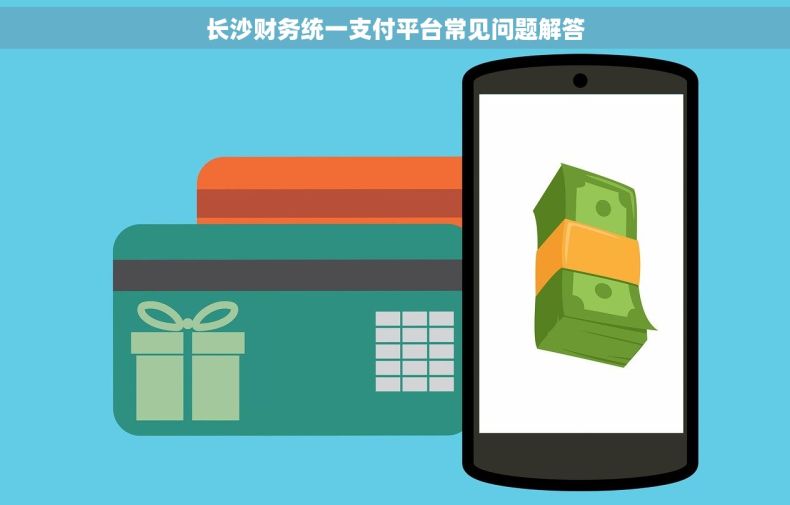 长沙财务统一支付平台常见问题解答