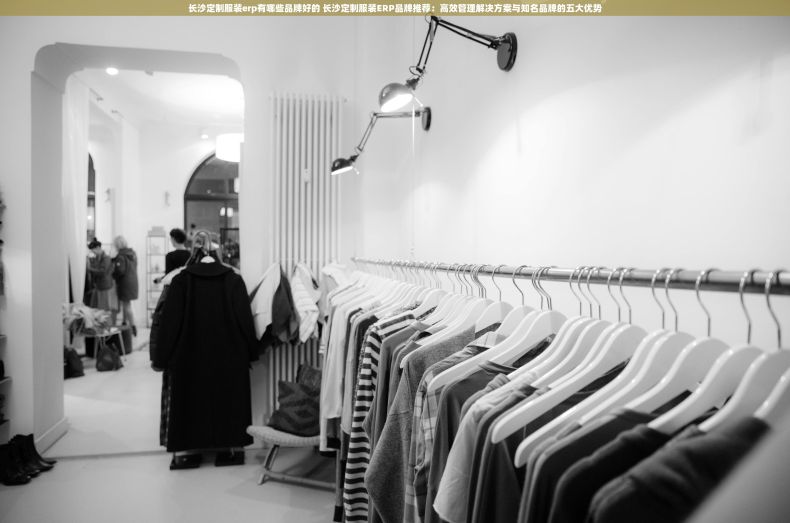 长沙定制服装erp有哪些品牌好的 长沙定制服装ERP品牌推荐：高效管理解决方案与知名品牌的五大优势