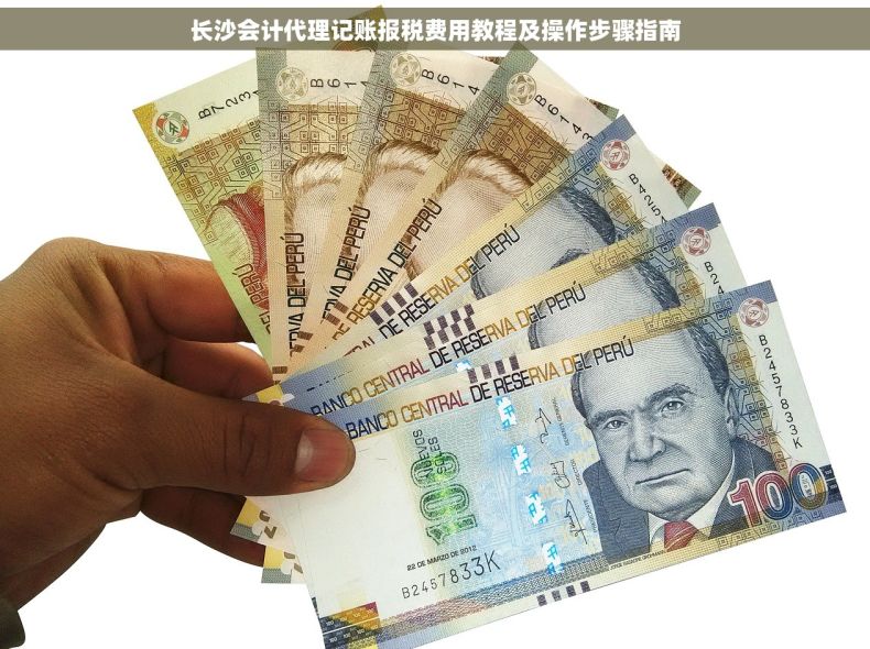 长沙会计代理记账报税费用教程及操作步骤指南