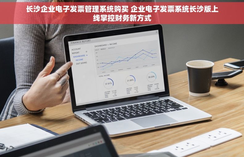 长沙企业电子发票管理系统购买 企业电子发票系统长沙版上线掌控财务新方式