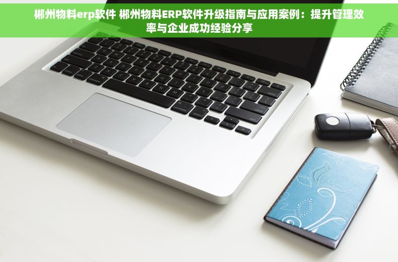 郴州物料erp软件 郴州物料ERP软件升级指南与应用案例：提升管理效率与企业成功经验分享