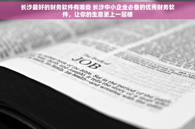 长沙最好的财务软件有哪些 长沙中小企业必备的优秀财务软件，让你的生意更上一层楼