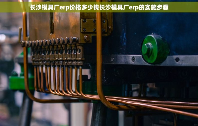 长沙模具厂erp价格多少钱长沙模具厂erp的实施步骤