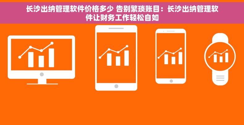 长沙出纳管理软件价格多少 告别繁琐账目：长沙出纳管理软件让财务工作轻松自如
