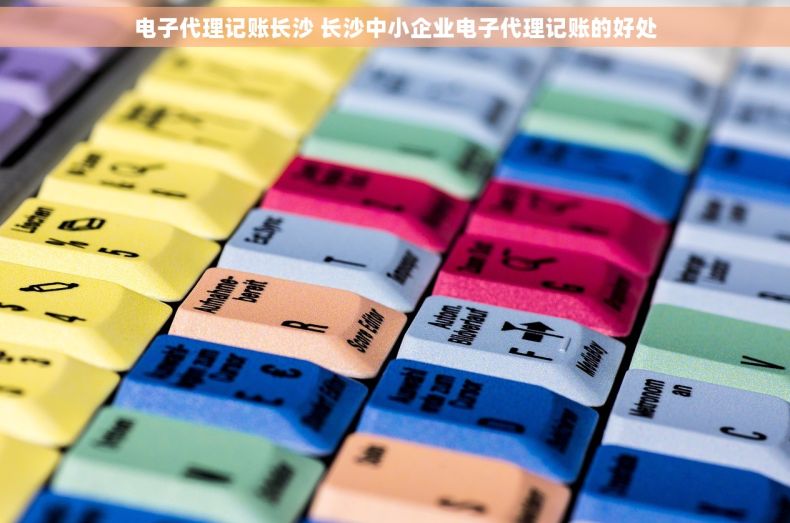 电子代理记账长沙 长沙中小企业电子代理记账的好处