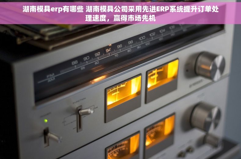 湖南模具erp有哪些 湖南模具公司采用先进ERP系统提升订单处理速度，赢得市场先机