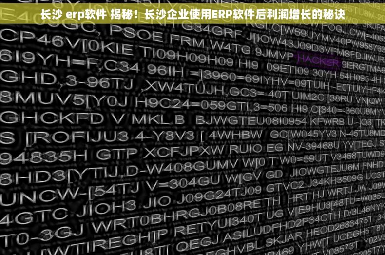 长沙 erp软件 揭秘！长沙企业使用ERP软件后利润增长的秘诀