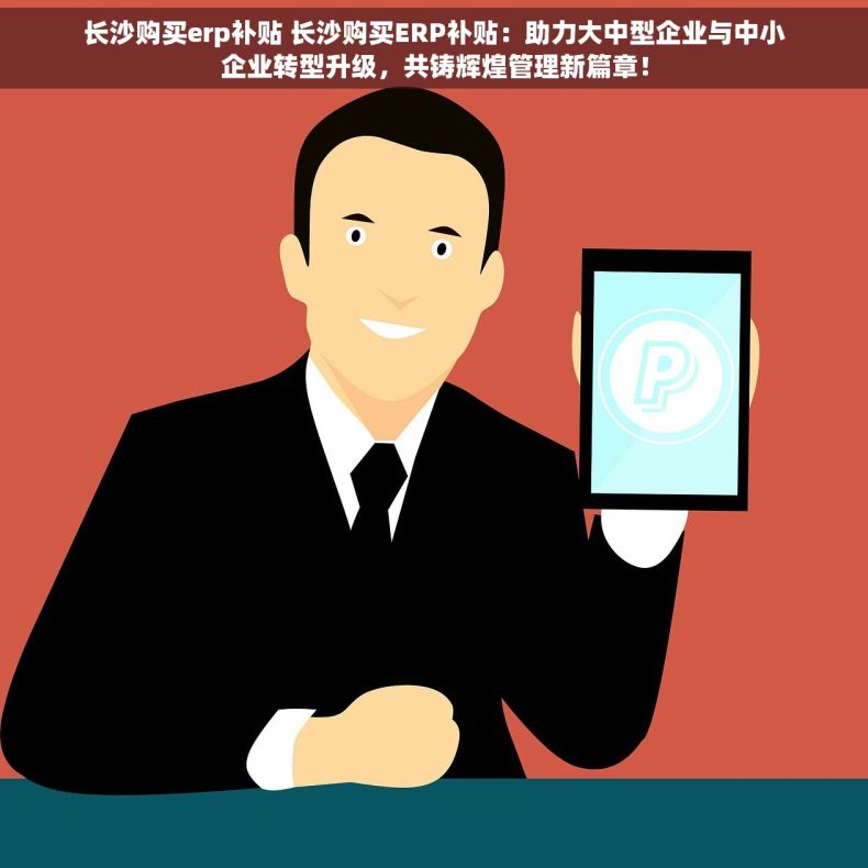 长沙购买erp补贴 长沙购买ERP补贴：助力大中型企业与中小企业转型升级，共铸辉煌管理新篇章！