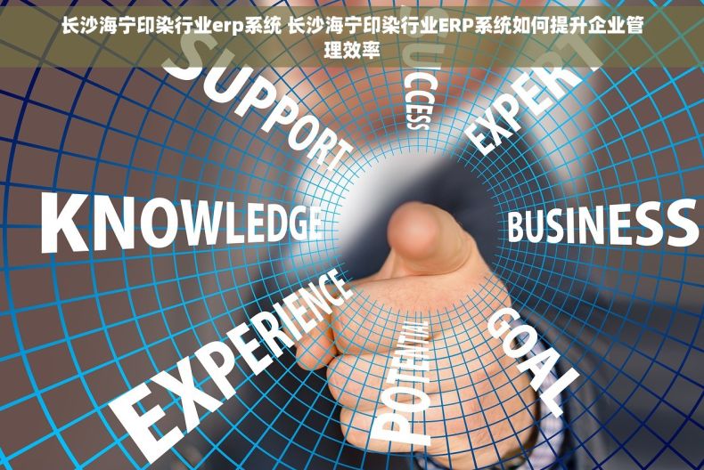 长沙海宁印染行业erp系统 长沙海宁印染行业ERP系统如何提升企业管理效率