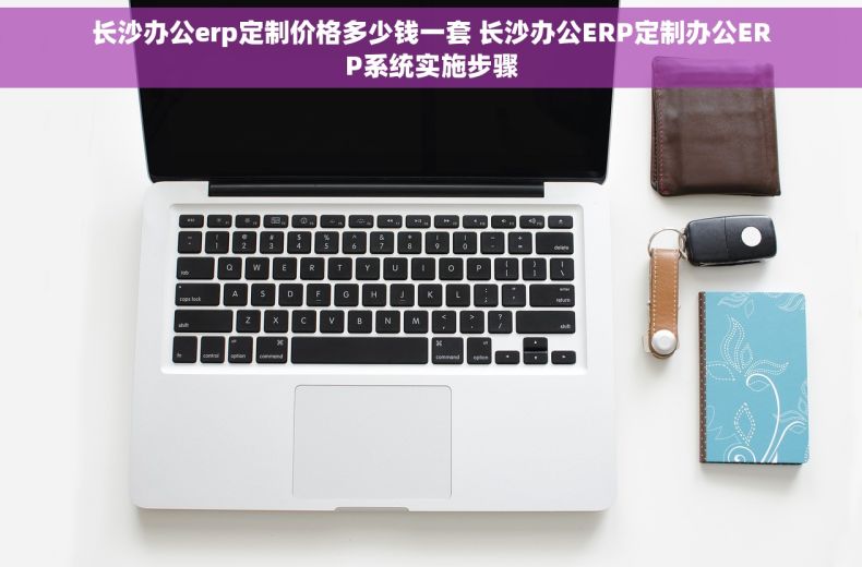 长沙办公erp定制价格多少钱一套 长沙办公ERP定制办公ERP系统实施步骤