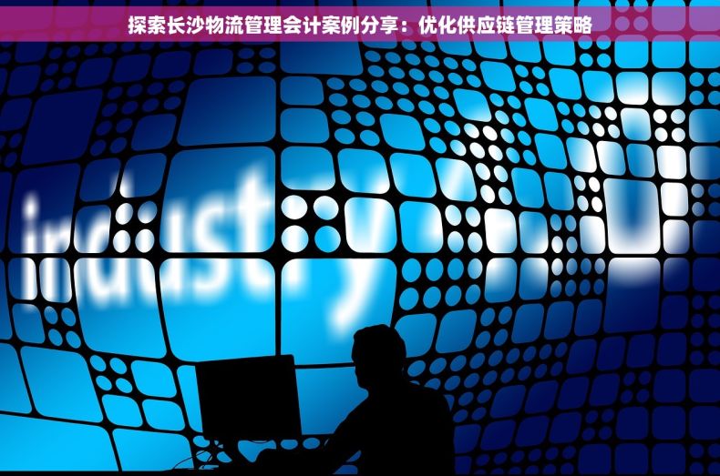 探索长沙物流管理会计案例分享：优化供应链管理策略