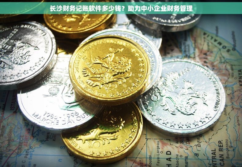 长沙财务记账软件多少钱？助力中小企业财务管理