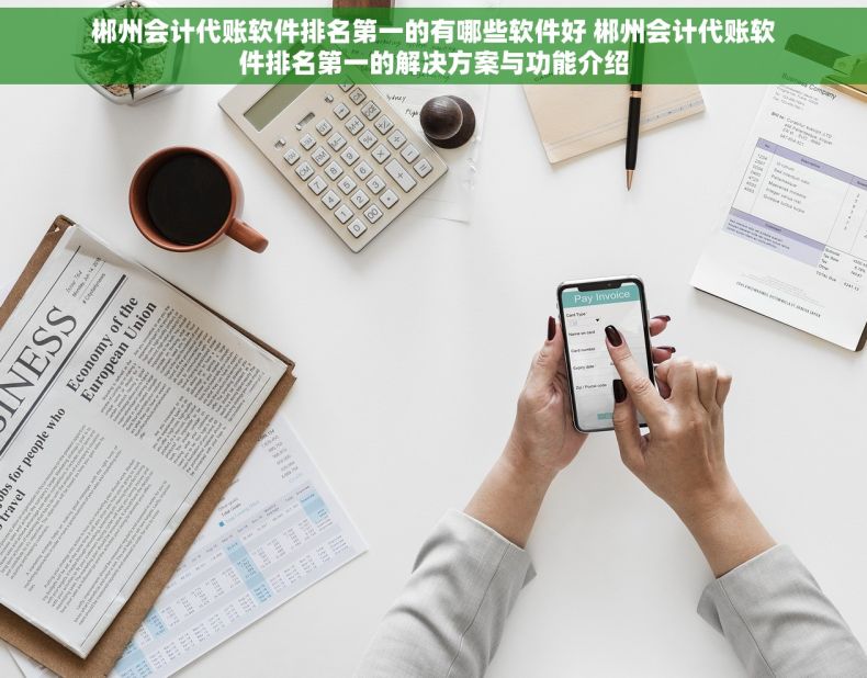 郴州会计代账软件排名第一的有哪些软件好 郴州会计代账软件排名第一的解决方案与功能介绍