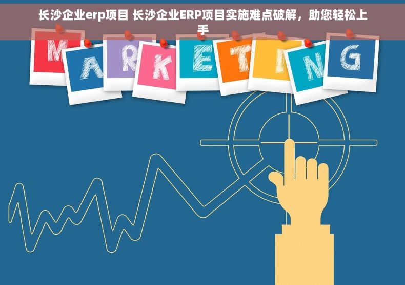 长沙企业erp项目 长沙企业ERP项目实施难点破解，助您轻松上手