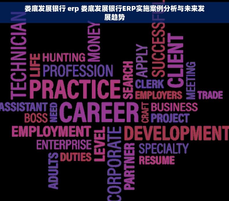 娄底发展银行 erp 娄底发展银行ERP实施案例分析与未来发展趋势