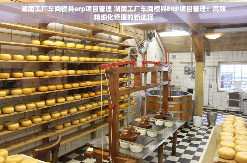 湖南工厂车间模具erp项目管理 湖南工厂车间模具ERP项目管理：高效精细化管理的新选择