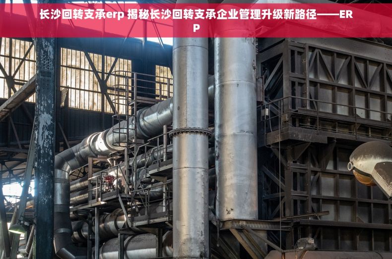 长沙回转支承erp 揭秘长沙回转支承企业管理升级新路径——ERP