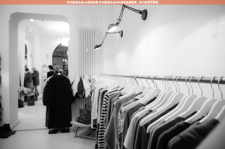 长沙服装企业erp系统品牌 长沙服装企业ERP系统品牌推荐，助力数字化转型