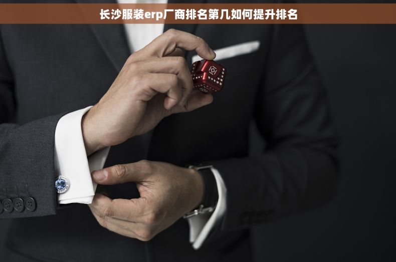 长沙服装erp厂商排名第几如何提升排名