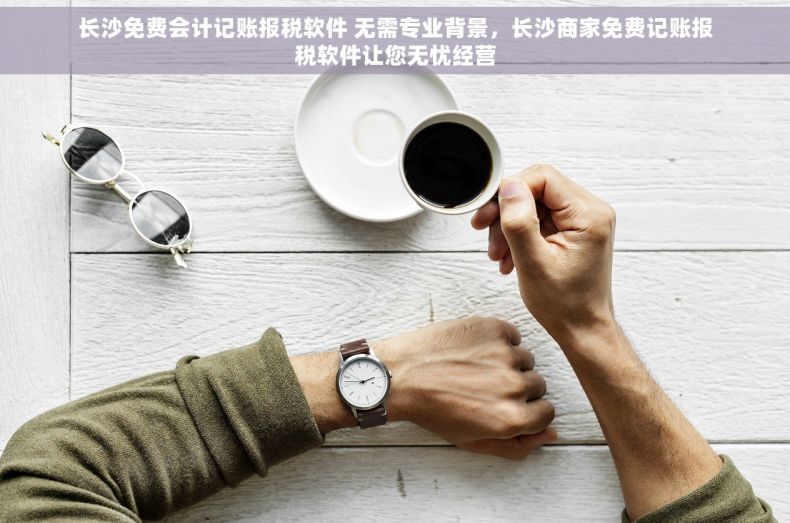 长沙免费会计记账报税软件 无需专业背景，长沙商家免费记账报税软件让您无忧经营