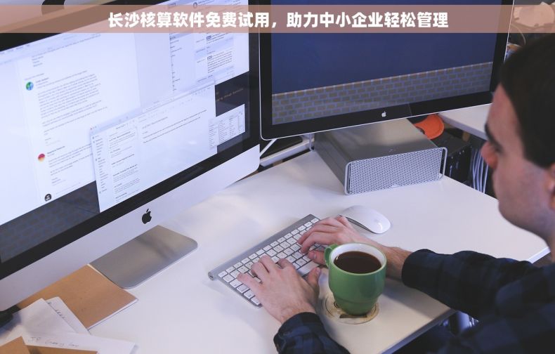 长沙核算软件免费试用，助力中小企业轻松管理