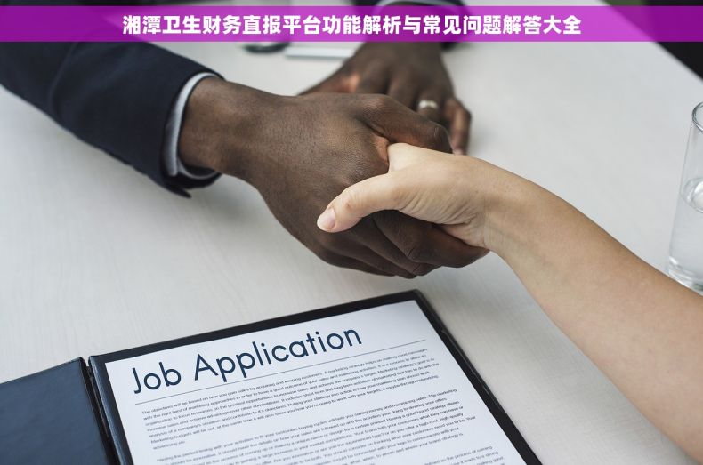 湘潭卫生财务直报平台功能解析与常见问题解答大全