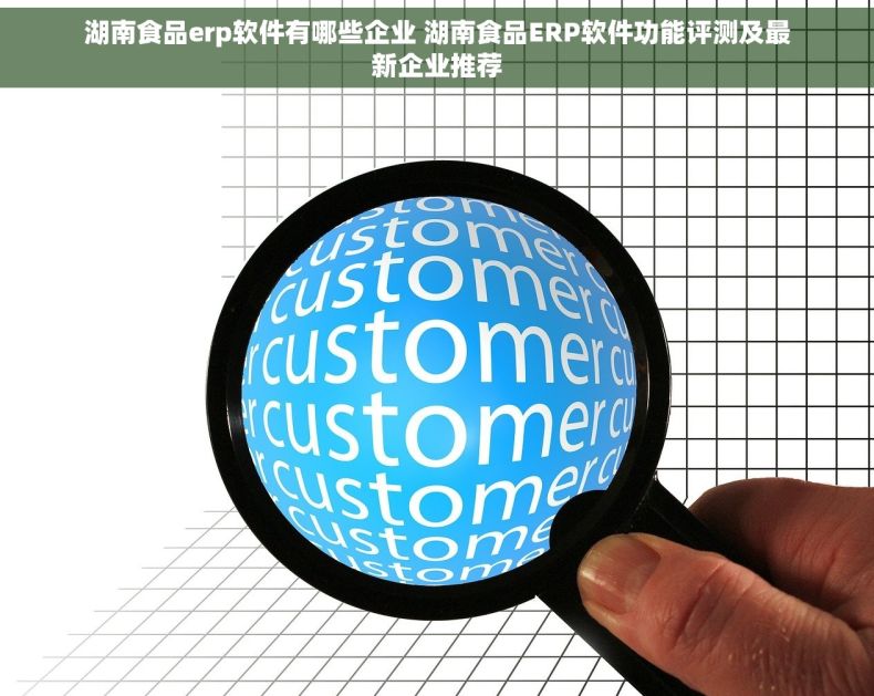湖南食品erp软件有哪些企业 湖南食品ERP软件功能评测及最新企业推荐