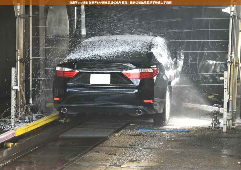 张家界erp排车 张家界ERP排车系统优化与教程：提升运输效率及新手快速上手指南