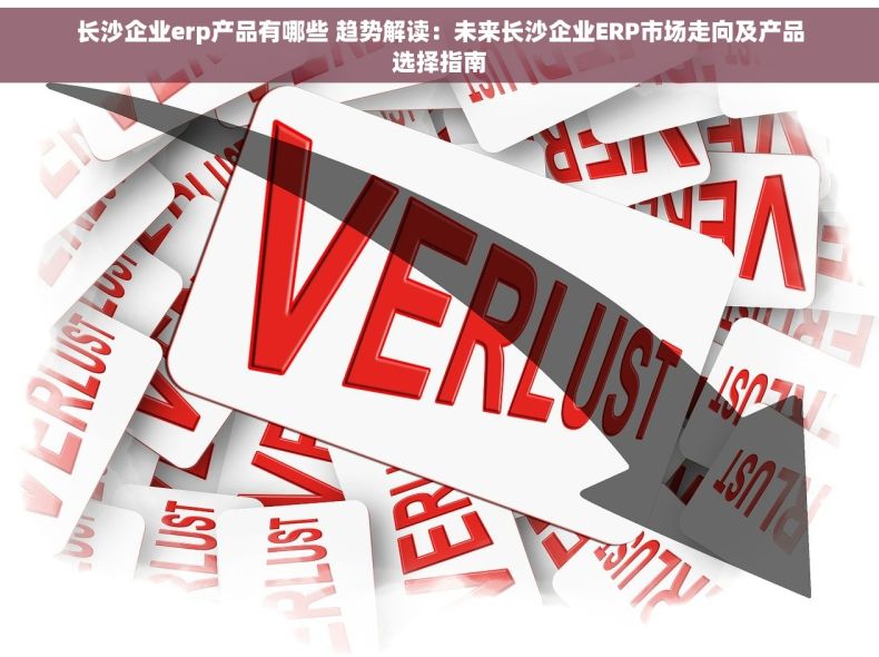 长沙企业erp产品有哪些 趋势解读：未来长沙企业ERP市场走向及产品选择指南
