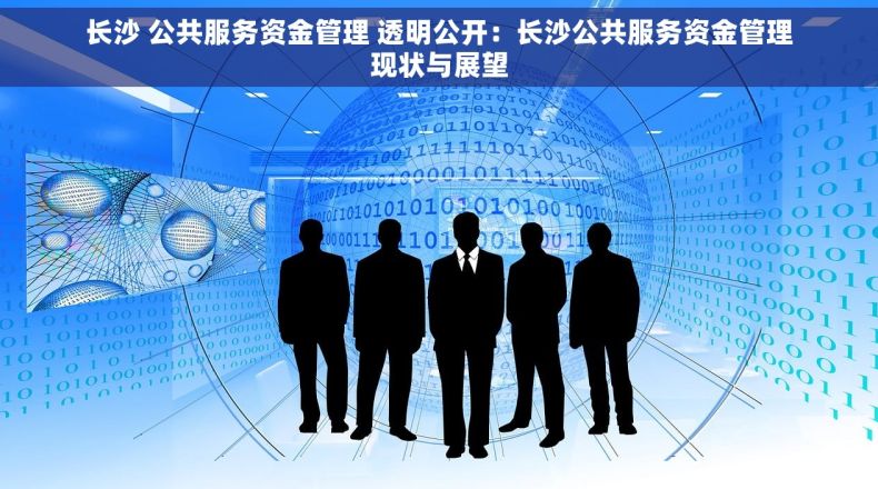 长沙 公共服务资金管理 透明公开：长沙公共服务资金管理现状与展望