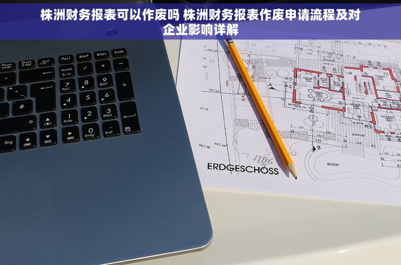 株洲财务报表可以作废吗 株洲财务报表作废申请流程及对企业影响详解