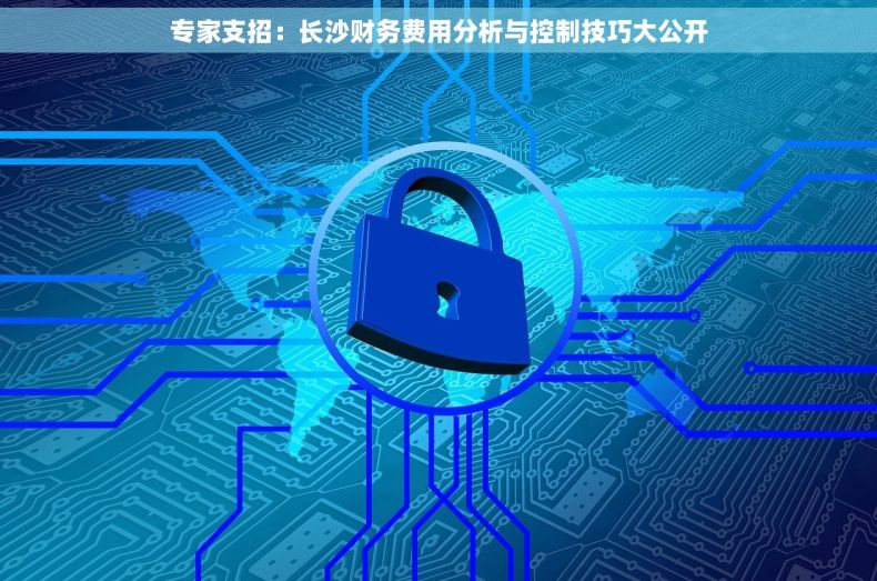 专家支招：长沙财务费用分析与控制技巧大公开