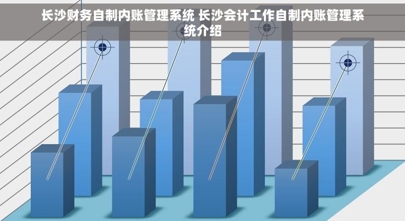 长沙财务自制内账管理系统 长沙会计工作自制内账管理系统介绍