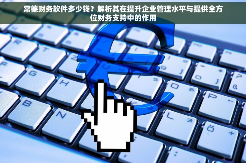 常德财务软件多少钱？解析其在提升企业管理水平与提供全方位财务支持中的作用