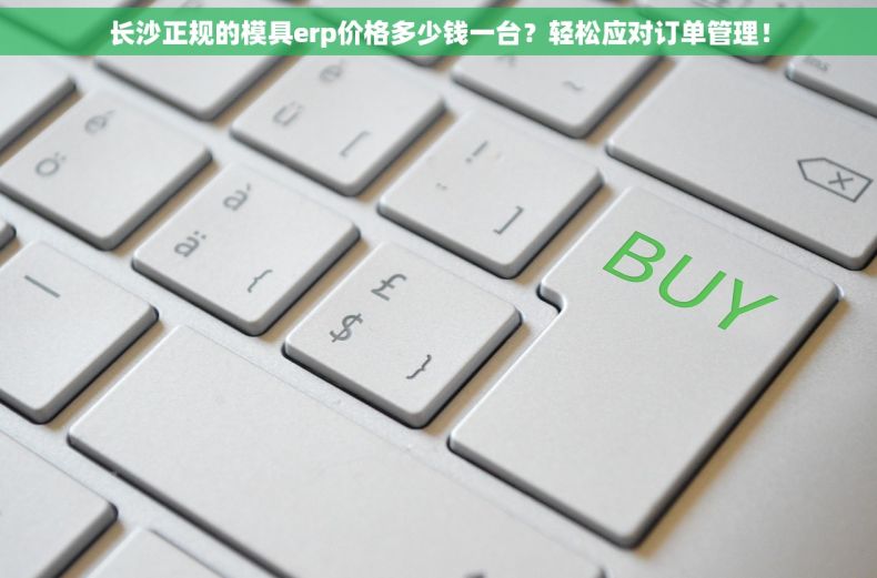 长沙正规的模具erp价格多少钱一台？轻松应对订单管理！