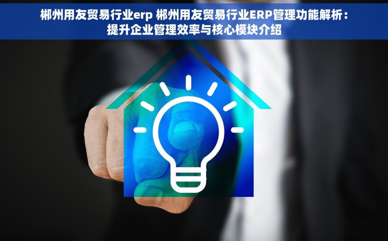 郴州用友贸易行业erp 郴州用友贸易行业ERP管理功能解析：提升企业管理效率与核心模块介绍