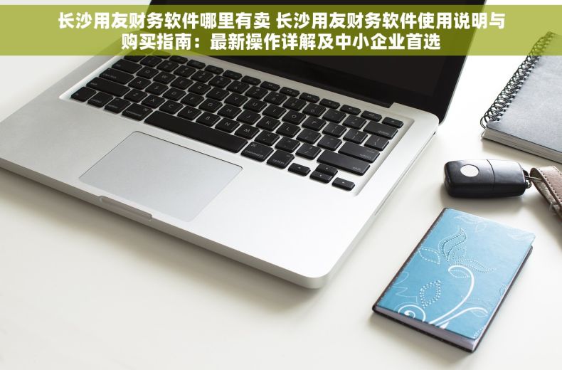 长沙用友财务软件哪里有卖 长沙用友财务软件使用说明与购买指南：最新操作详解及中小企业首选