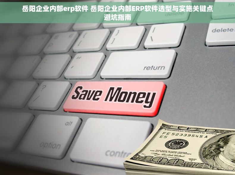 岳阳企业内部erp软件 岳阳企业内部ERP软件选型与实施关键点避坑指南