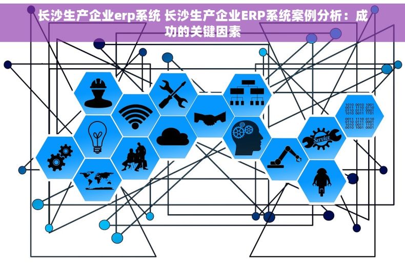 长沙生产企业erp系统 长沙生产企业ERP系统案例分析：成功的关键因素