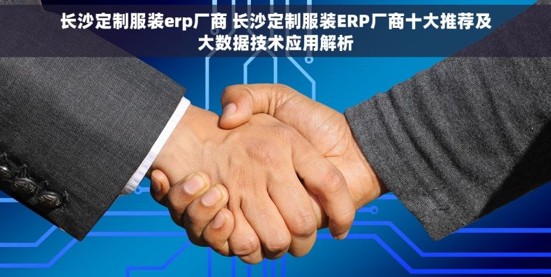 长沙定制服装erp厂商 长沙定制服装ERP厂商十大推荐及大数据技术应用解析