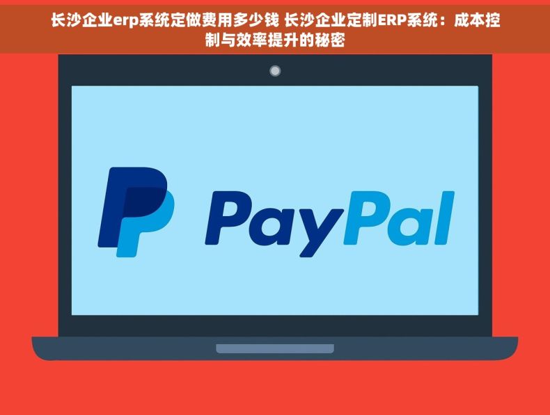 长沙企业erp系统定做费用多少钱 长沙企业定制ERP系统：成本控制与效率提升的秘密