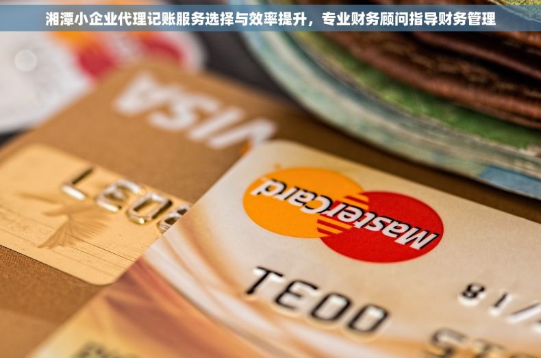 湘潭小企业代理记账服务选择与效率提升，专业财务顾问指导财务管理
