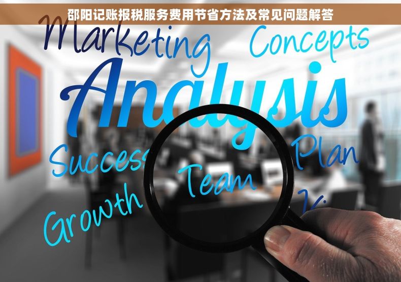 邵阳记账报税服务费用节省方法及常见问题解答