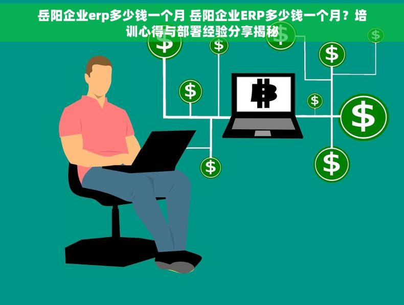 岳阳企业erp多少钱一个月 岳阳企业ERP多少钱一个月？培训心得与部署经验分享揭秘