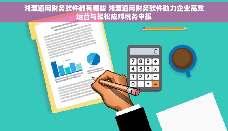 湘潭通用财务软件都有哪些 湘潭通用财务软件助力企业高效运营与轻松应对税务申报