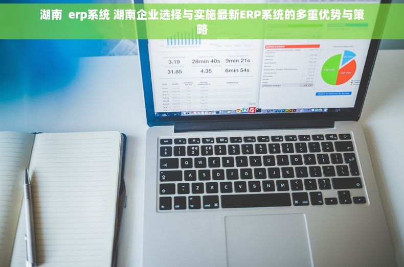 湖南  erp系统 湖南企业选择与实施最新ERP系统的多重优势与策略