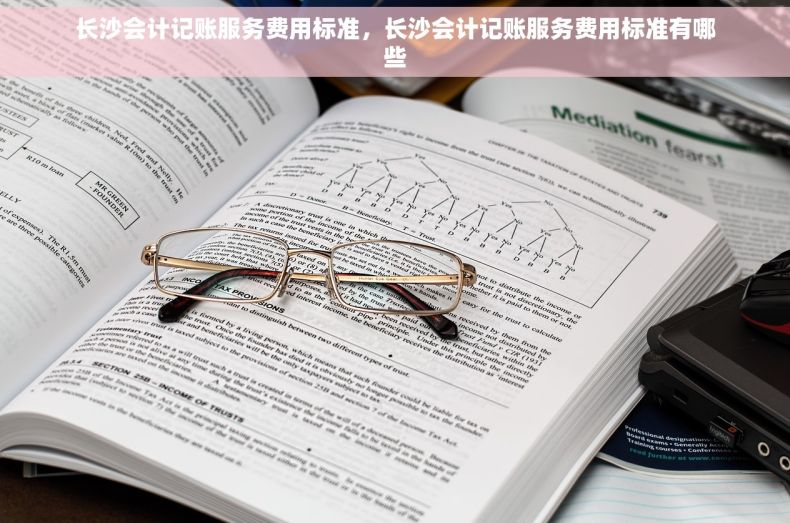 长沙会计记账服务费用标准，长沙会计记账服务费用标准有哪些