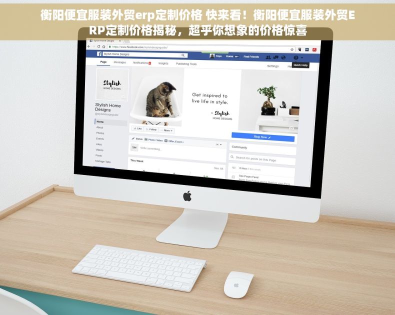 衡阳便宜服装外贸erp定制价格 快来看！衡阳便宜服装外贸ERP定制价格揭秘，超乎你想象的价格惊喜